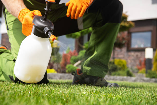 Best Wasp Removal Services  in Coleytown, CT