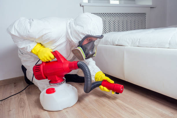Best Local Pest Control Services  in Coleytown, CT