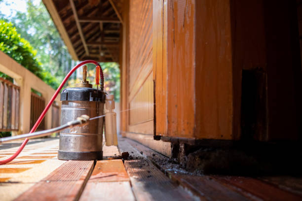 Best Affordable Pest Control Services  in Coleytown, CT