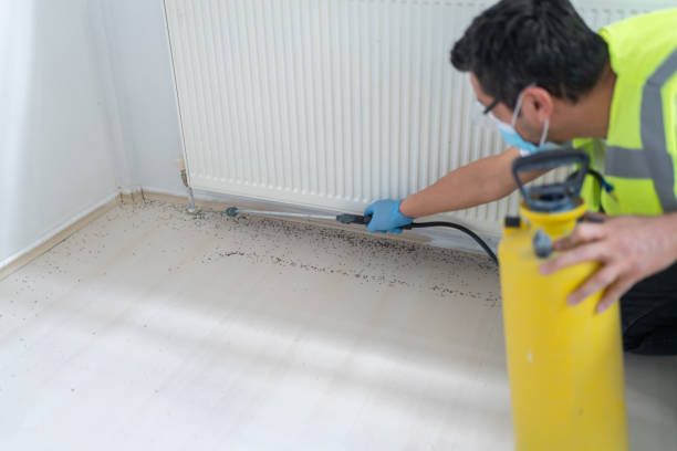 Best Pest Inspection Near Me  in Coleytown, CT